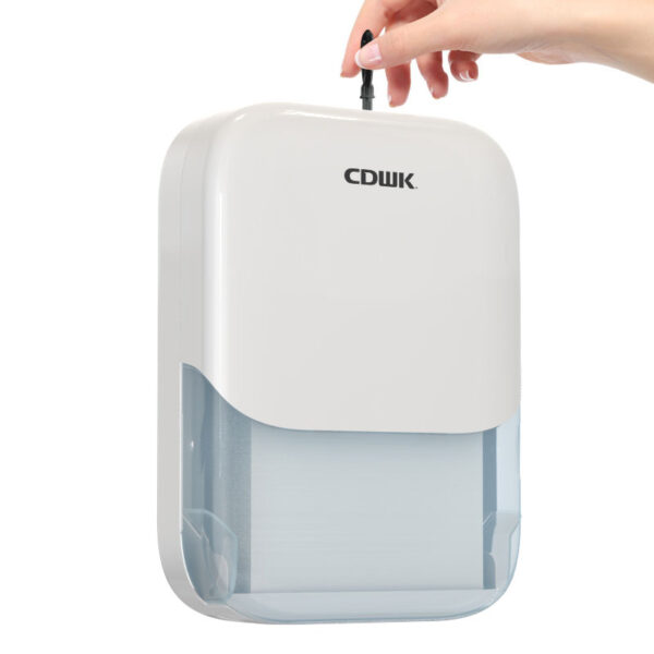 Paper Towel Dispenser